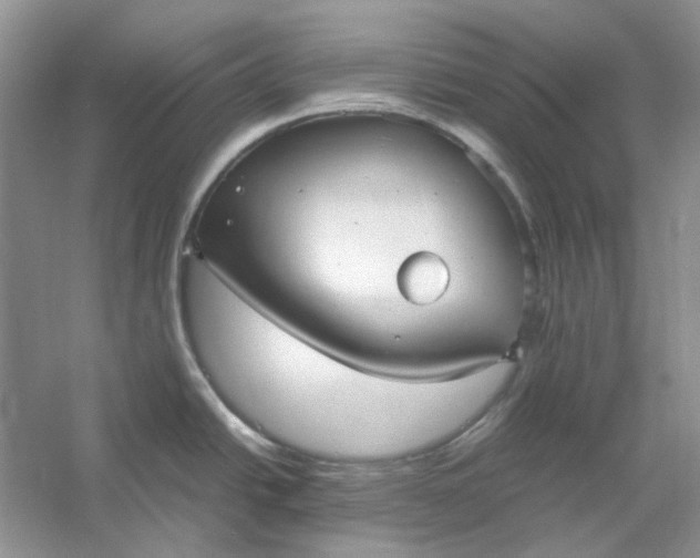 X0000053111438200507251645