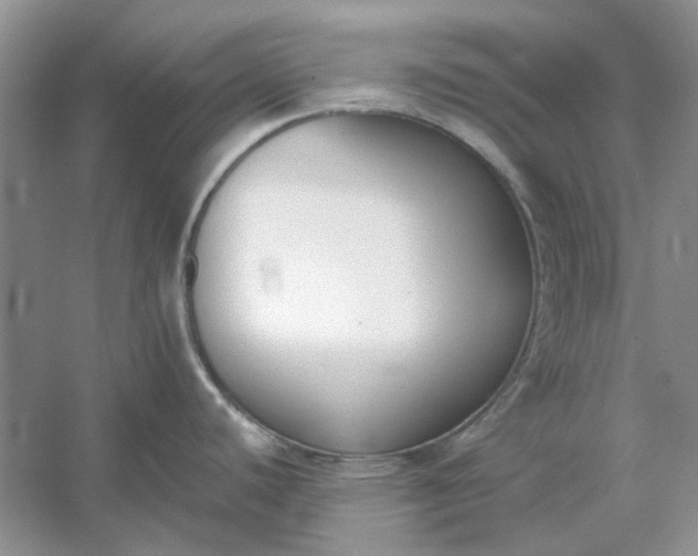 X0000053111440200507251645