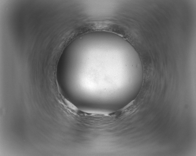 X0000053111441200507251645