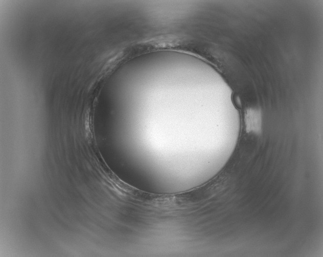 X0000053111444200507251644