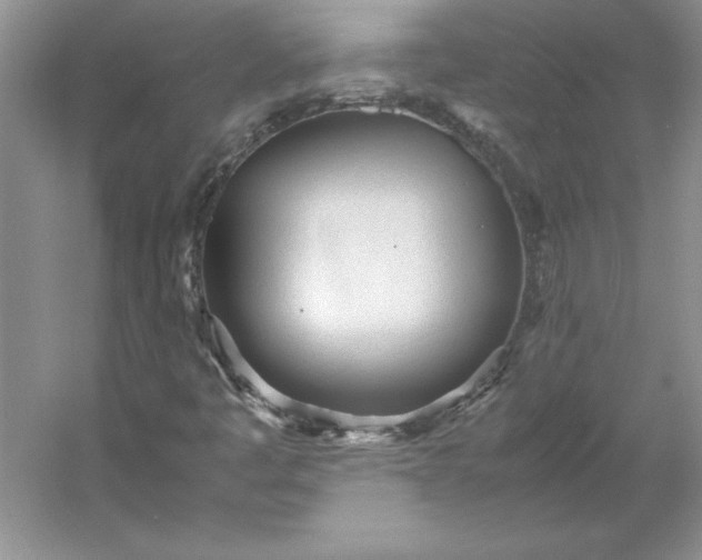 X0000053111445200507251644