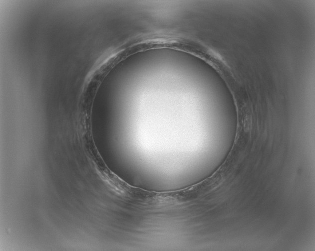 X0000053111448200507251644
