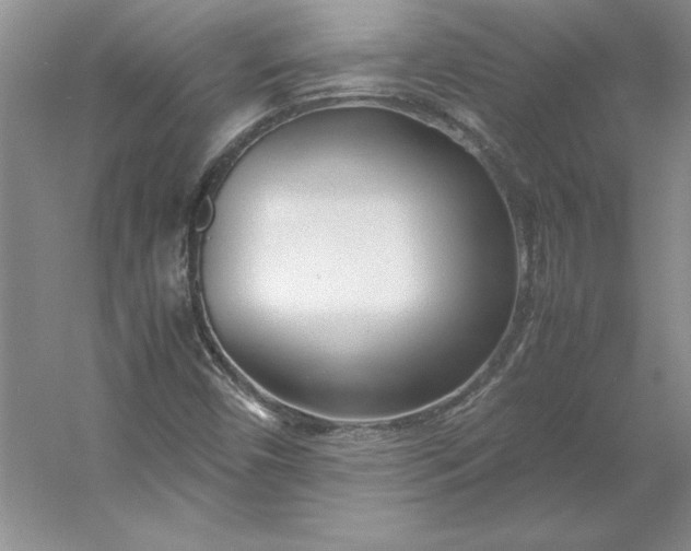 X0000053111450200507251644