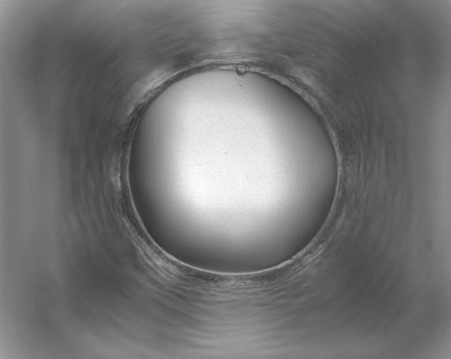 X0000053111451200507251644