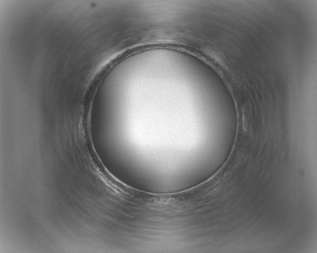X0000053111452200507251644
