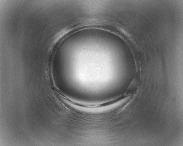 X0000053111453200507251644
