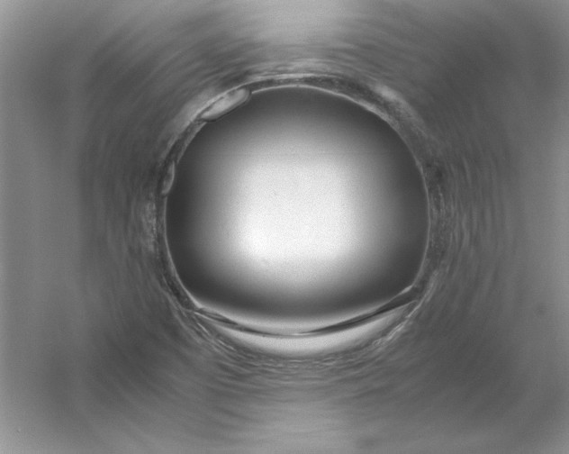 X0000053111457200507251644