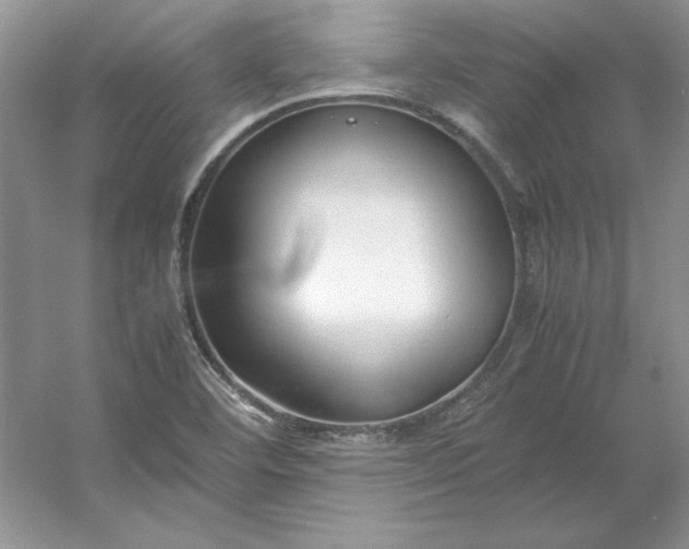 X0000053111460200507251644