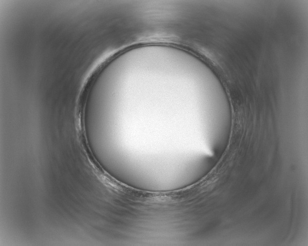 X0000053111462200507251644