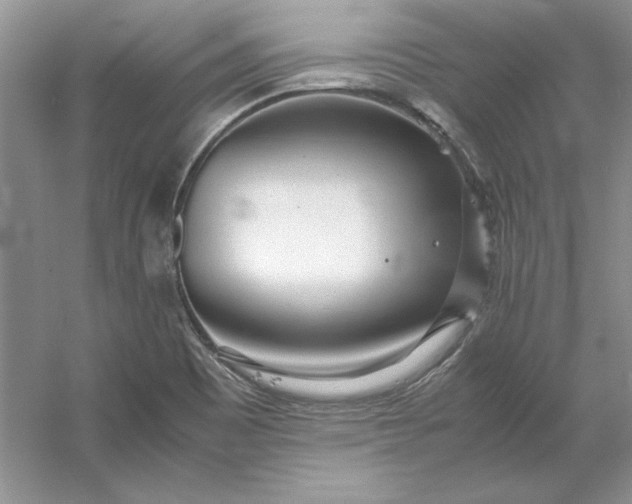 X0000053111465200507251644