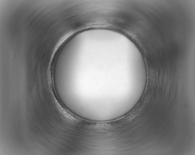 X0000053111466200507251644