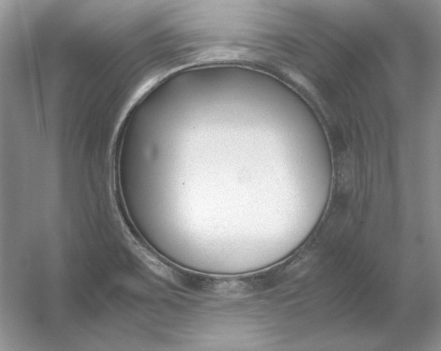 X0000053111467200507251644