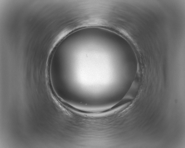 X0000053111469200507251644