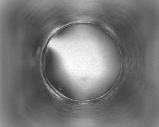 X0000053111471200507251644