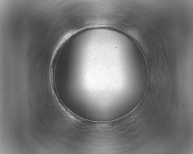 X0000053111472200507251644