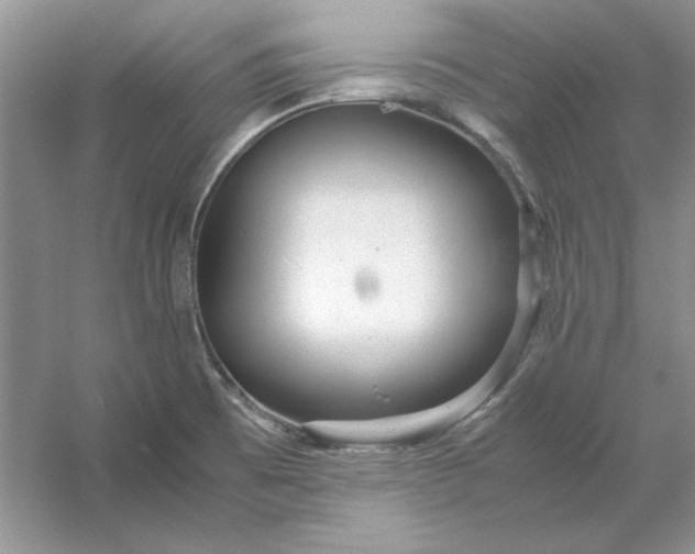 X0000053111473200507251644