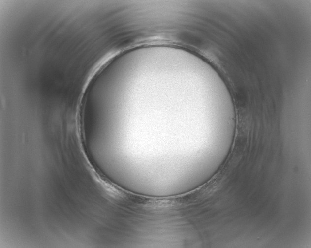 X0000053111474200507251644