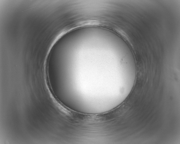 X0000053111475200507251644