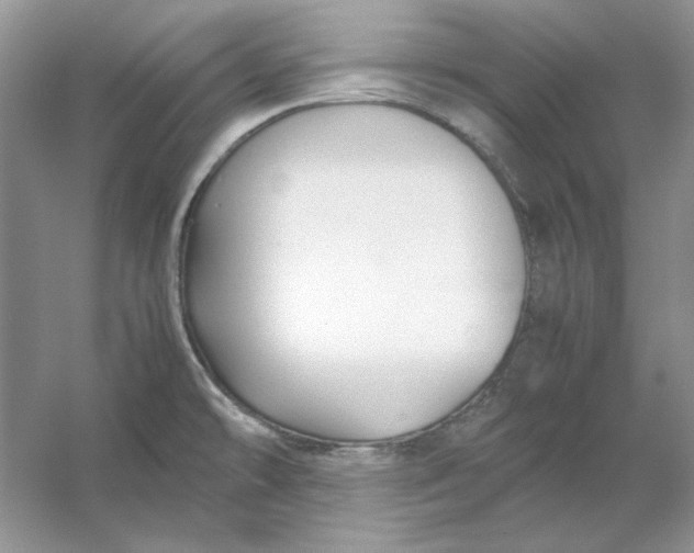 X0000053111478200507251644