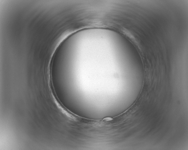 X0000053111479200507251644