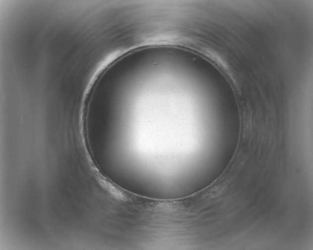 X0000053111480200507251644