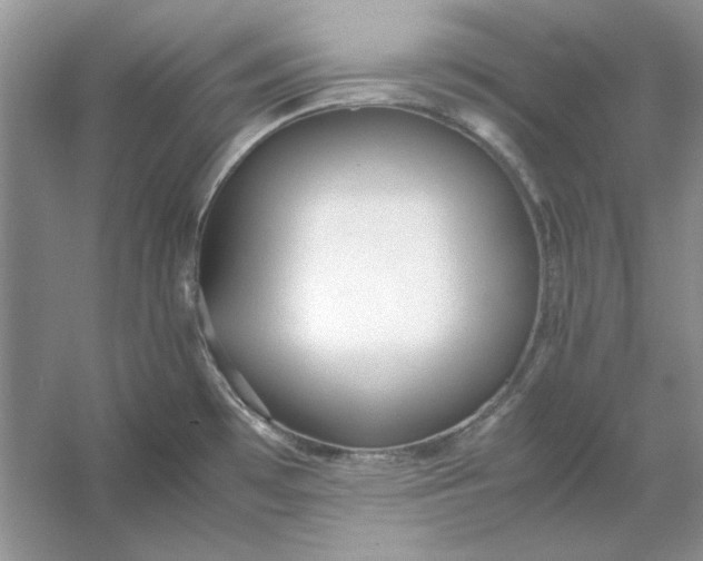 X0000053111481200507251644
