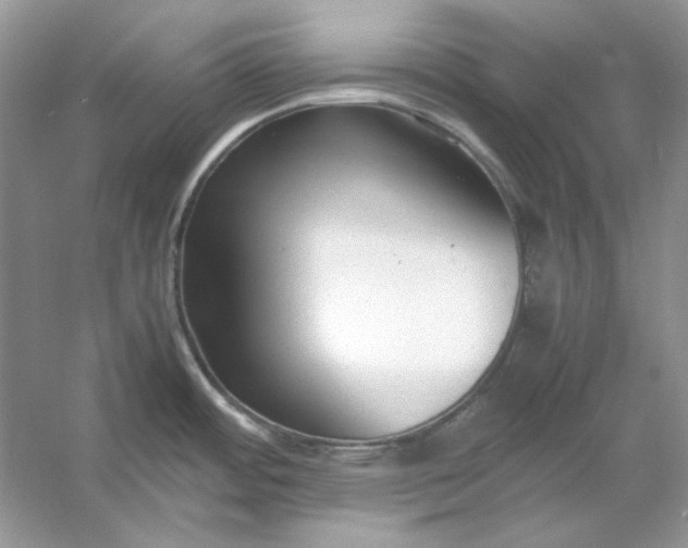 X0000053111484200507251644