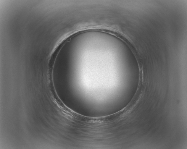 X0000053111501200507251643