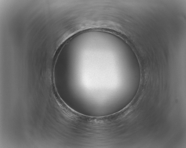 X0000053111505200507251643