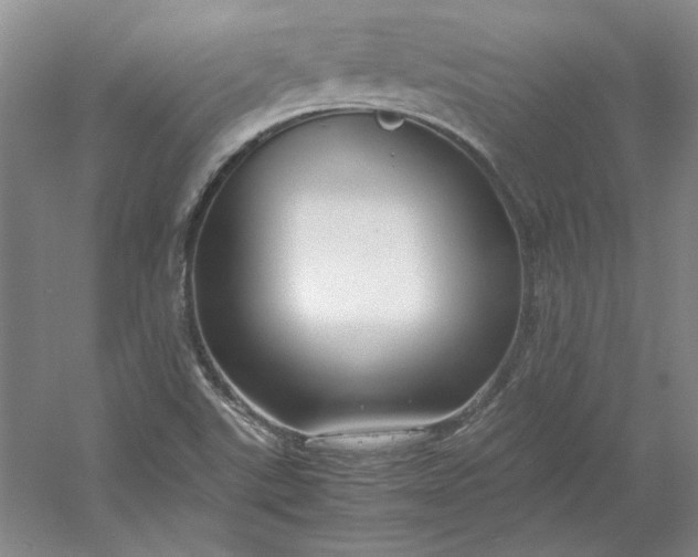 X0000053111507200507251643