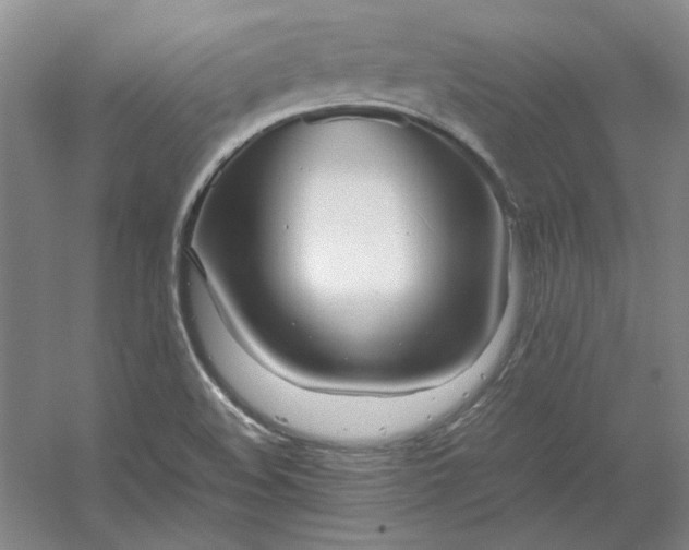 X0000053111508200507251643