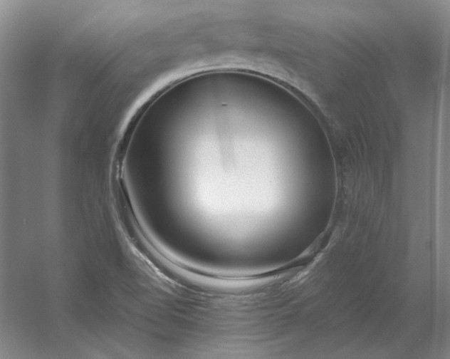 X0000053111510200507251643