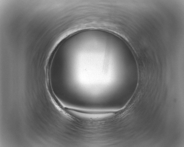 X0000053111515200507251643