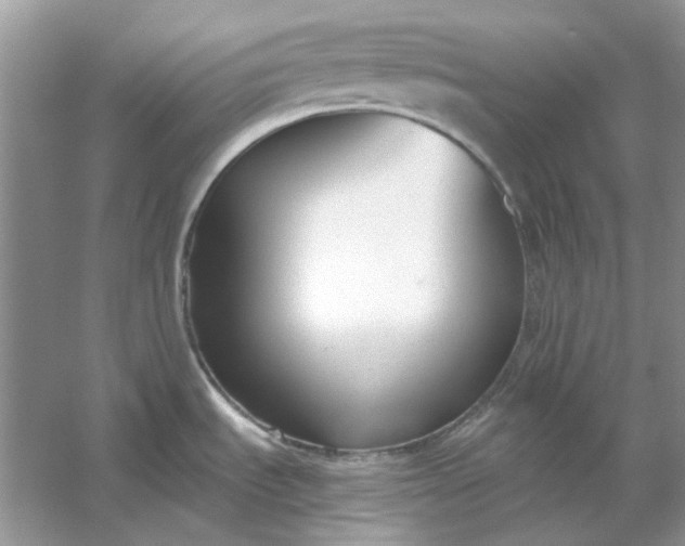 X0000053111535200507251644