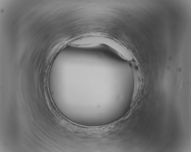 X0000053110001200508012137