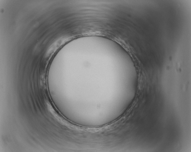 X0000053110002200508012137