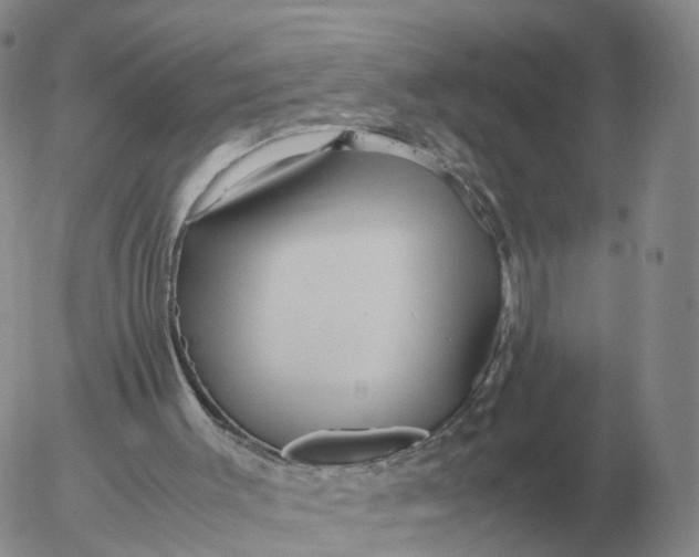 X0000053110003200508012137