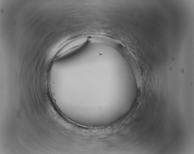 X0000053110005200508012137