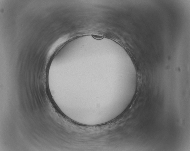 X0000053110006200508012137