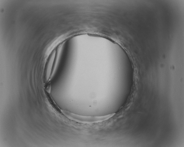 X0000053110007200508012137