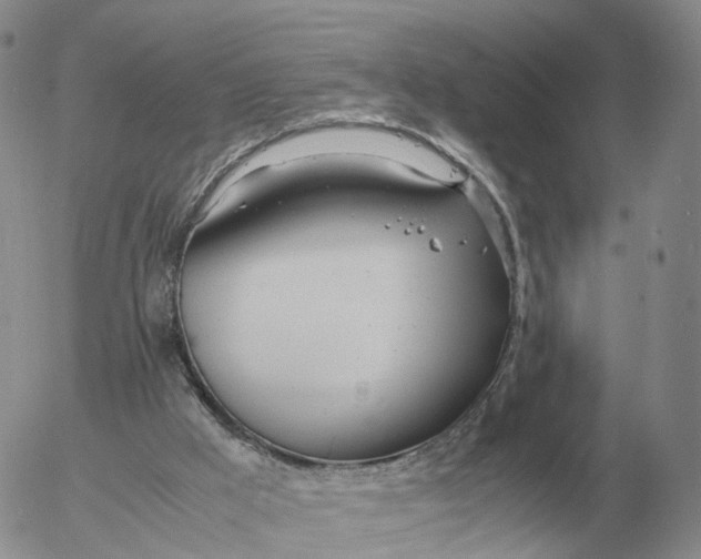 X0000053110009200508012137