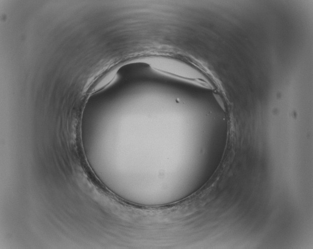 X0000053110010200508012137