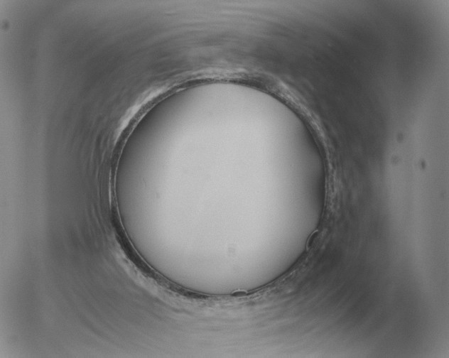 X0000053110011200508012137