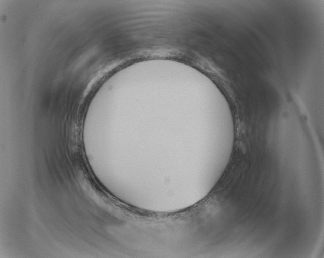 X0000053110012200508012137