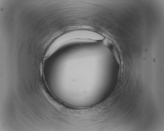 X0000053110013200508012137