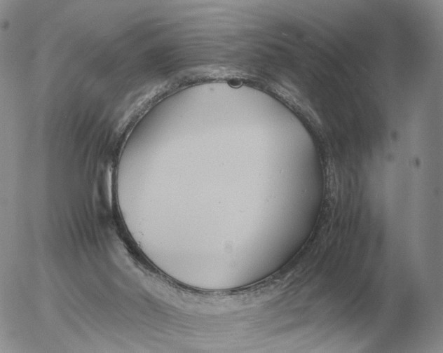 X0000053110014200508012137