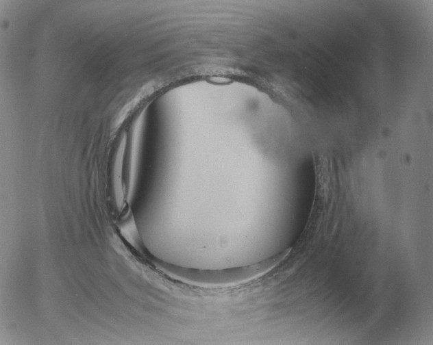 X0000053110015200508012137