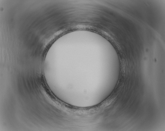 X0000053110016200508012137