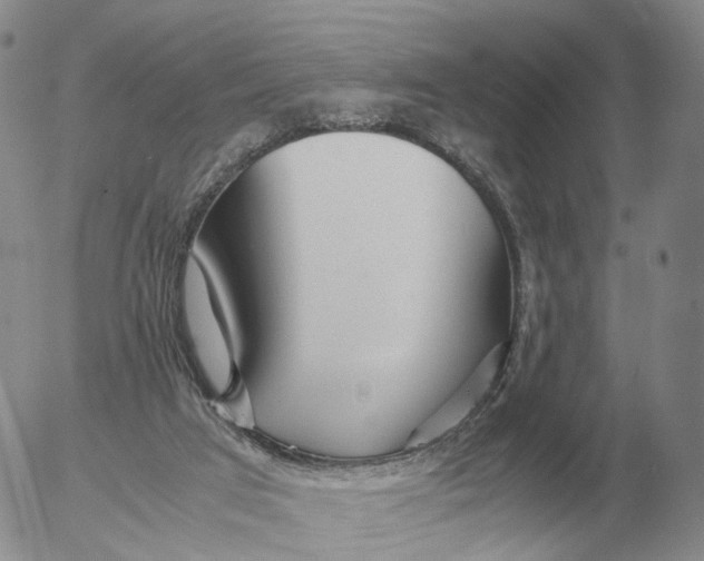 X0000053110017200508012137