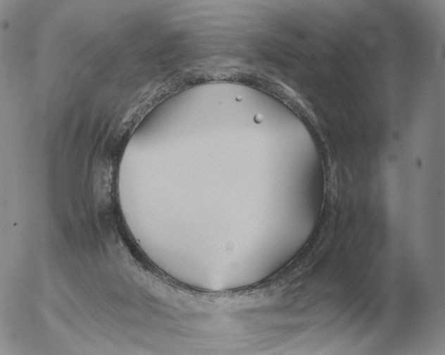 X0000053110018200508012137